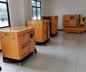 Fixed Speed & Variable Speed Screw Compressors: Which One Is Right for You?